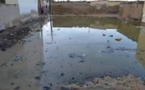 Inondations à Saint-Louis: Le Calvaire Des Habitants De Ndiolofène Nord « Pour Lutter Contre Les Inondations, Nous Déposons Des Ordures Devant Et Dans Nos Concessions…»