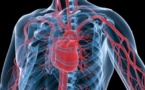 Les maladies cardiovasculaires, première cause de mortalité au monde