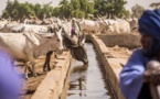 Lancement d’un programme visant la résilience des populations rurales