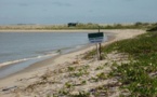 Environnement- Saint-Louis: A qui profite ce crime ?