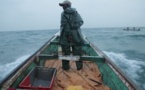Raréfaction du poisson: les pêcheurs de Guet Ndar dans la détresse. Raréfaction du poisson: les pêcheurs de Guet Ndar dans la détresse.