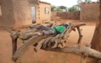Le Sénégal, un pays où on ne travaille pas !