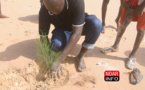 Écosystèmes dégradés par la brèche : Lancement d’une nouvelle campagne de reboisement (vidéo)