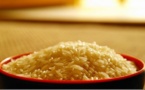 Riz importé en Afrique : une chaîne alimentaire juteuse