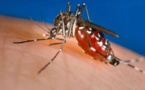 Une cinquantaine de cas de Dengue enregistrée à Dagana