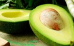 L’avocat, un fruit anti-cancer ?