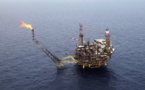 Gaz et pétrole : des experts appellent à placer l’écologie au centre des préoccupations