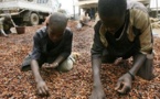 Travail précoce: 2,7 millions d’enfants actifs au Sénégal Travail précoce: 2,7 millions d’enfants actifs au Sénégal