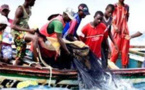 Matam : la longue agonie de la pêche fluviale