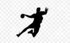 Handball : l’équipe de Saint-Louis "n'a pas de carburant" et risque de rater son match de demain à Dakar.