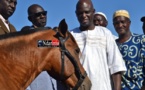 Saint-Louis - Assainissement : Mansour Faye offre 5 chevaux aux Gie Cetom.