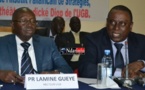 « L'hyperbalkanisation de l’Afrique se poursuit », selon le docteur Cheikh Tidiane Gadio.