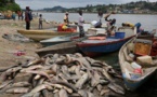 Le Gabon veut nationaliser la pêche maritime artisanale, contrôlée à 86 % par des acteurs étrangers