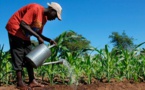 Au Sénégal, la crainte de la panne de nappe