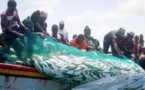 Mamadou Lamine Diallo à Macky Sall : “Le poisson devient rare et tout est exporté”