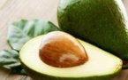 L'avocat pourrait contribuer grandement à la perte et au maintien du poids L'avocat pourrait contribuer grandement à la perte et au maintien du poids