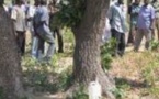 Séries de tueries à Tambacounda : Un commerçant et un malade mental sauvagement assassinés