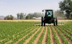 Sénégal : Plusieurs financements en faveur de l’agriculture. Sénégal : Plusieurs financements en faveur de l’agriculture.