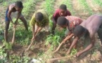 Trafic d’enfants : Un camion arrêté au Sénégal avec 22 jeunes guinéens