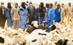 Tabaski : le Sénégal suspend les taxes pour les éleveurs mauritaniens