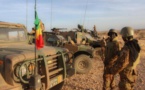 Le Mali claque la porte du G5 Sahel,"instrumentalisé"