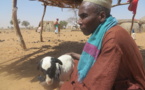 Des villages piétinés par l’agrobusiness
