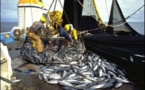 Pêche : Après 8 ans, 38 navires de l’Ue autorisés à pêcher au Sénégal