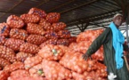 Tabaski : le marché bien approvisionné en oignon et pomme de terre (ARM)