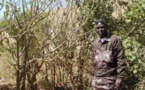 Premier lauréat des énergies renouvelables en Afrique : Cheikh Guèye, un inventeur écolo
