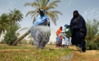 La Mauritanie a obtenu "suffisamment d’engrais pour la campagne agricole"