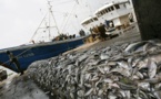 Pêche illicite : 35 à 63% des stocks péchés à des zones non durables