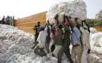 Sahel : Mauritanie, la nouvelle route du coton malien