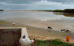 31, mousson 2014: pas un millimètre d'eau, des Niayes à l'Aftout es Saheli !