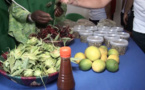 Saint-Louis : une ferme à Ndellé allie croissance économique et transformation sociale - vidéo