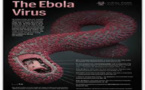 ALERTE: les signes et symptômes de la maladie à virus EBOLA (OMS)