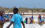​Le sel est une filière sous-exploitée au Sénégal