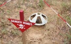 Bignona : 7 personnes tuées par une mine entre Welkalire et Djalinkine