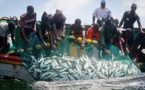 « Il y a urgence de réactualiser le code de la pêche continentale du Sénégal » (Expert)