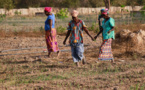 ​AMÉLIORATION DE LA PRODUCTIVITÉ : Les agricultrices du Nord à l’ère des bonnes pratiques – vidéo
