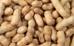 Les bienfaits de l'arachide Les bienfaits de l'arachide