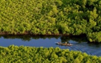 Des acteurs de l’environnement engagés pour la préservation des zones humides