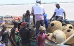 GESTION DE L’AIRE MARINE PROTÉGÉE  DE SAINT-LOUIS: immersion de 400 récifs artificiels (vidéo) GESTION DE L’AIRE MARINE PROTÉGÉE  DE SAINT-LOUIS: immersion de 400 récifs artificiels (vidéo)