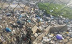 Problème de santé publique à Pikine Diokoul : ordures et chiens errants menacent les populations. Problème de santé publique à Pikine Diokoul : ordures et chiens errants menacent les populations.