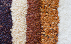 Le Sénégal dispose de 16 variétés de riz, selon l’ISRA
