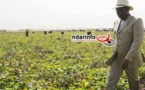 Podor: les agriculteurs exposent leurs doléances à Macky Sall