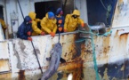 Pêches illégales : 20% des poissons proviennent de Six (06) d’Afrique de l’Ouest dont le Sénégal