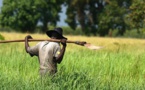 Le gouvernement prend 19 mesures pour un bon déroulement de la prochaine campagne agricole