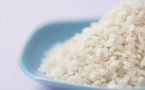 SAINT-LOUIS: La BNDE va financer l'achat de 8000 t de riz.