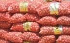 Abdou Karim Fofana annonce l’arrivée de 14 000 tonnes d'oignons, entre le 11 et le 25 août