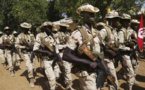 L'Afrique centrale élabore sa stratégie pour "éradiquer" Boko Haram